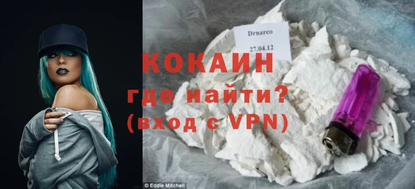 спайс Ладушкин