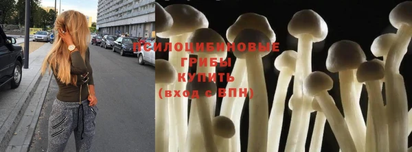 ECSTASY Лабытнанги