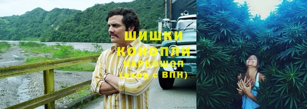 спайс Ладушкин