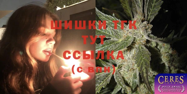 спайс Ладушкин