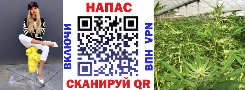 Каннабис тримм  Купить где  Калязин 